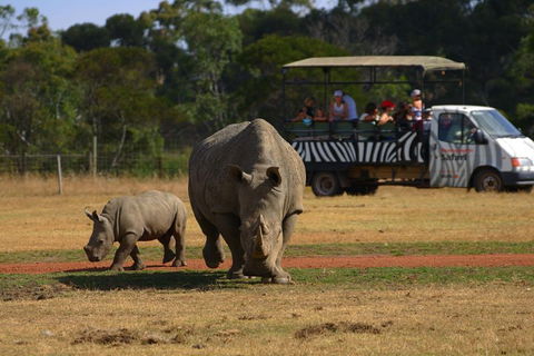 Off-Road Safari At Werribee Open Range Zoo - Restaurant Canberra 5