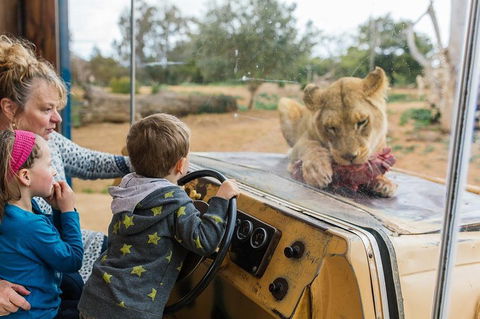 Werribee Open Range Zoo General Admission Ticket - Restaurant Canberra 4