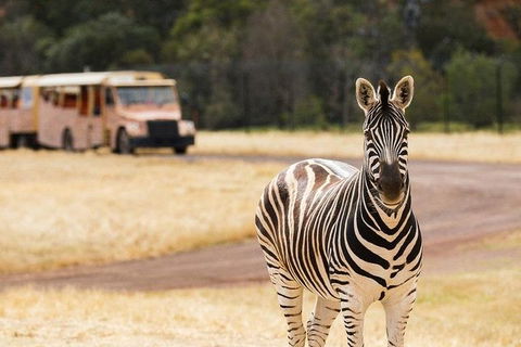 Werribee Open Range Zoo General Admission Ticket - Restaurant Canberra 5
