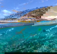 Great Barrier Reef Scenic Flight and Ocean Rafting Whitehaven Beach Day Trip - Restaurant Canberra