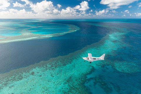 Great Barrier Reef Scenic Flight And Ocean Rafting Whitehaven Beach Day Trip - Restaurant Canberra 3