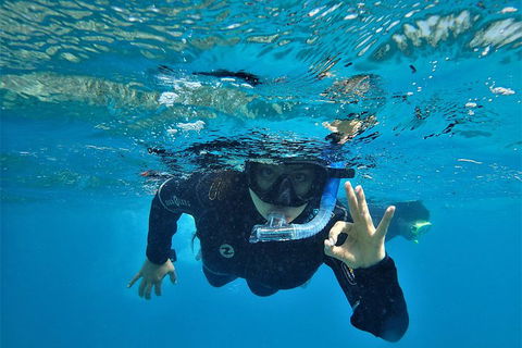 3 Day Whitsundays Sailing And Diving Adventure: Kiana - Restaurant Canberra 0