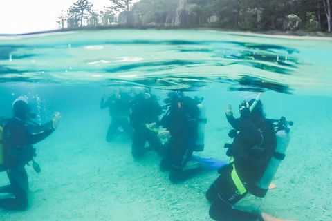 3 Day Whitsundays Sailing And Diving Adventure: Kiana - Restaurant Canberra 4