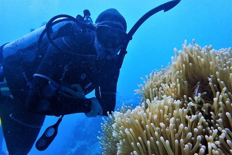 3 Day Whitsundays Sailing And Diving Adventure: Kiana - Restaurant Canberra 5