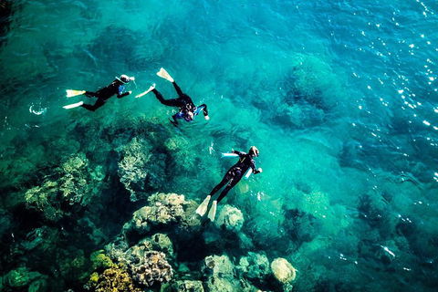 2-Night Whitsundays Sailing Adventure: Whitsunday Getaway - Restaurant Canberra 5