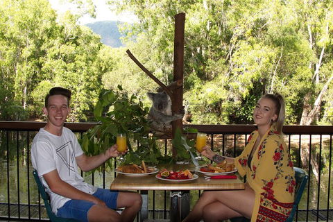 Hartley's Crocodile Adventures Breakfast With The Koalas - Restaurant Canberra 5