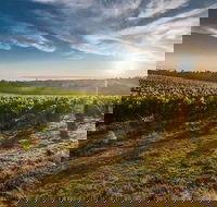 Perth to Margaret River Wine Tour - 2 Day Premium Boutique Wine Tour Experience - Restaurant Canberra