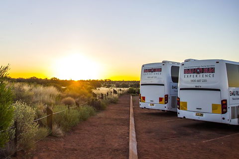 Uluru And Kata Tjuta Experience With BBQ Dinner - Restaurant Canberra 2
