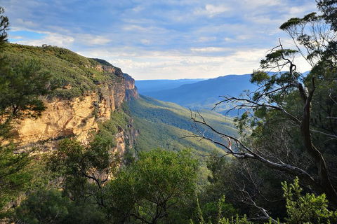 Sunset Blue Mountains Wilderness & Wildlife Tour Without The Crowds - Restaurant Canberra 2