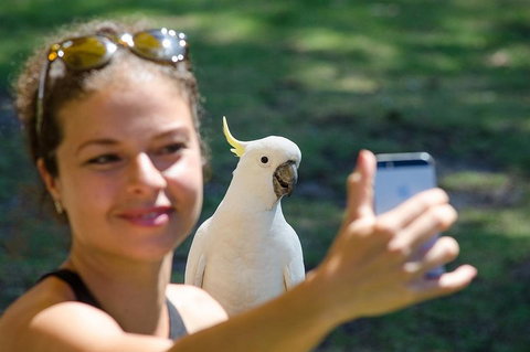 Melbourne To Adelaide South East Coast 3 Day Overland Tour - Restaurant Canberra 3