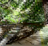12 Apostles Eco-Friendly Great Ocean Road Iconic Adventure from Melbourne - Restaurant Canberra