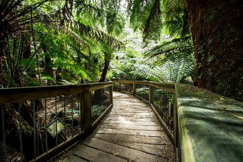 12 Apostles Eco-Friendly Great Ocean Road Iconic Adventure From Melbourne - Restaurant Canberra 0