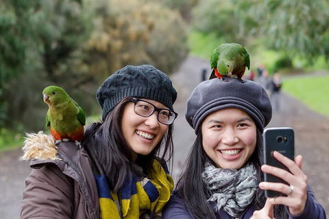 Small-Group Great Ocean Road And 12 Apostles Full-Day Tour From Melbourne - Restaurant Canberra 0