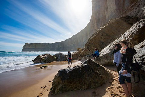 Small-Group Great Ocean Road And 12 Apostles Full-Day Tour From Melbourne - Restaurant Canberra 1