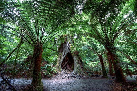 Small-Group Great Ocean Road And 12 Apostles Full-Day Tour From Melbourne - Restaurant Canberra 4