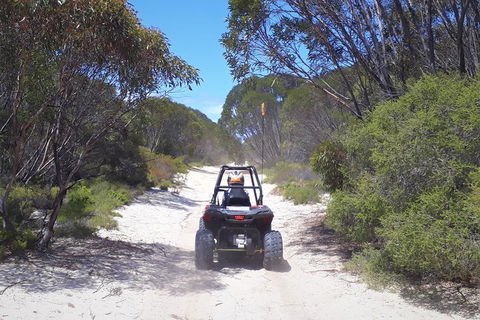 Kangaroo Island Quad Bike (ATV) Tours - Restaurant Canberra 4
