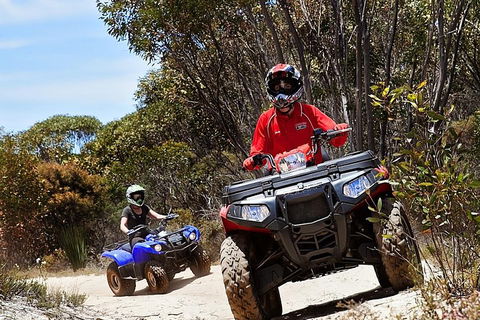 Kangaroo Island Quad Bike (ATV) Tours - Restaurant Canberra 5