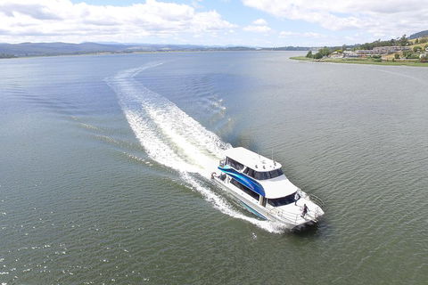 2.5 Hour Morning Discovery Cruise Including Sailing Into The Cataract Gorge - Restaurant Canberra 2