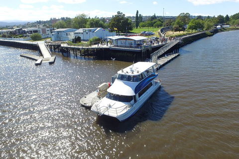 2.5 Hour Morning Discovery Cruise Including Sailing Into The Cataract Gorge - Restaurant Canberra 3