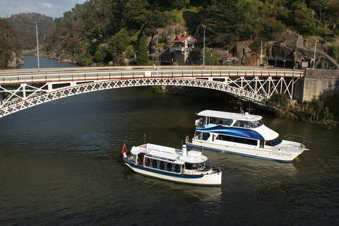 2.5 Hour Morning Discovery Cruise Including Sailing Into The Cataract Gorge - Restaurant Canberra 5