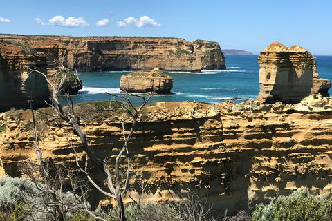 Great Ocean Road Reverse Itinerary Tour - Restaurant Canberra 1