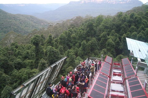 Blue Mountains Private Tour With Wildlife Park And River Cruise - Restaurant Canberra 1
