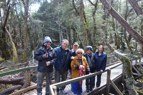 Blue Mountains Private Tour With Wildlife Park And River Cruise - Restaurant Canberra 2