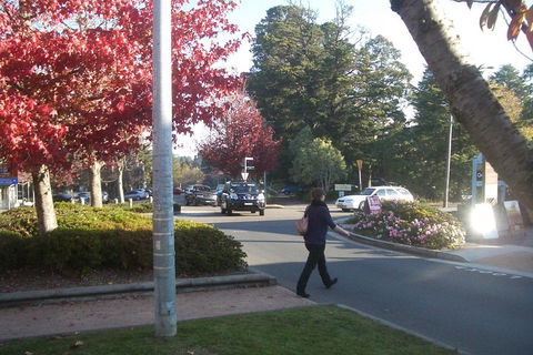 PRIVATE All-Day Blue Mountains Tour With Professional Guide For Up To 4 People - Restaurant Canberra 1