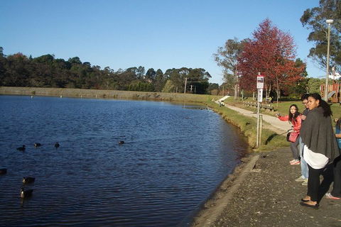 PRIVATE All-Day Blue Mountains Tour With Professional Guide For Up To 4 People - Restaurant Canberra 2
