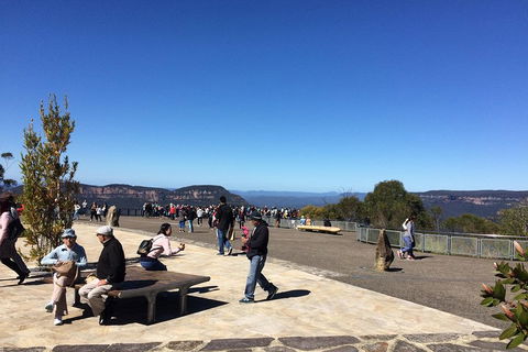PRIVATE All-Day Blue Mountains Tour With Professional Guide For Up To 4 People - Restaurant Canberra 5