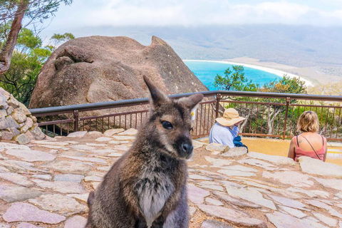 Wineglass Bay & Freycinet NP Full Day Tour From Hobart Via Richmond Village - Restaurant Canberra 0