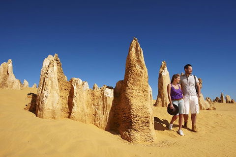 Pinnacles Day Trip From Perth Including Yanchep National Park - Restaurant Canberra 0