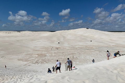 Pinnacles Day Trip From Perth Including Yanchep National Park - Restaurant Canberra 2