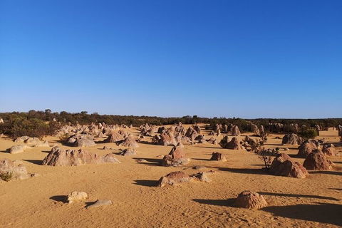 Pinnacles Day Trip From Perth Including Yanchep National Park - Restaurant Canberra 3