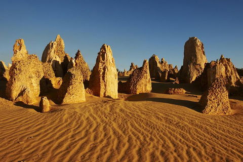 Pinnacles Day Trip From Perth Including Yanchep National Park - Restaurant Canberra 5