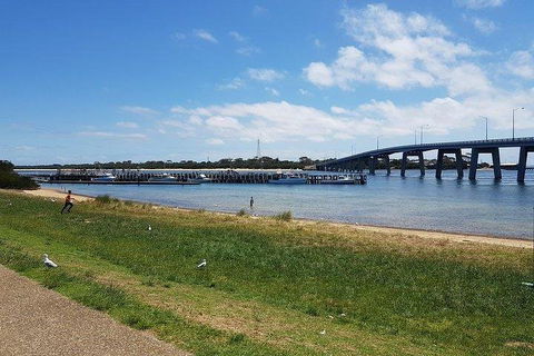 Phillip Island Penguin And Wildlife Tour - Restaurant Canberra 4