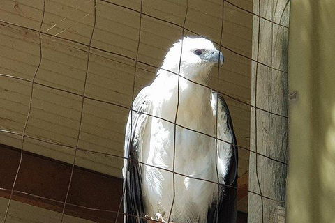 Phillip Island Penguin And Wildlife Tour - Restaurant Canberra 5