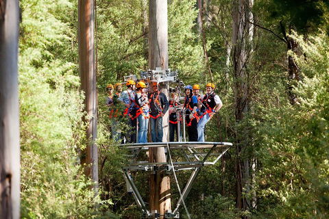 Adventure Sunset Three Day Great Ocean Road Tour - Restaurant Canberra 1