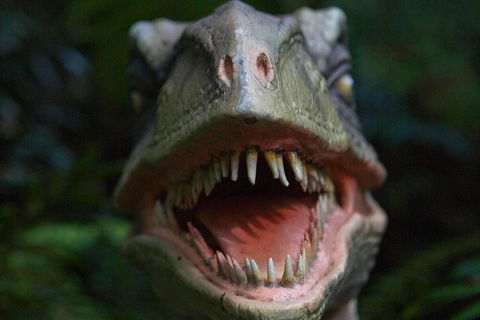 Adventure Sunset Three Day Great Ocean Road Tour - Restaurant Canberra 3