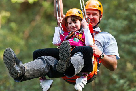 Adventure Sunset Three Day Great Ocean Road Tour - Restaurant Canberra 4
