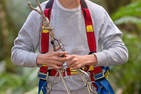 Adventure Sunset Three Day Great Ocean Road Tour - Restaurant Canberra 5