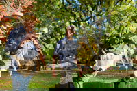 Aboriginal Heritage Walk - Royal Botanic Gardens Victoria Melbourne Gardens