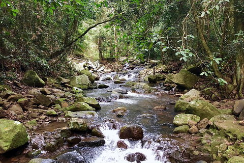 Exclusive Private Tour - Design Your Own - Restaurant Canberra 1