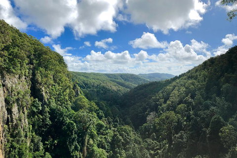 Exclusive Private Tour - Design Your Own - Restaurant Canberra 3