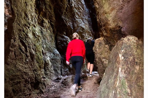 Exclusive Private Tour - Design Your Own - Restaurant Canberra 4