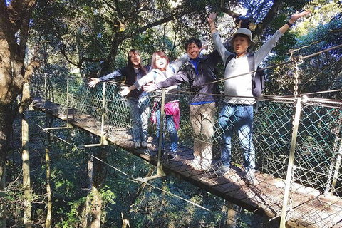 Exclusive Private Tour - Design Your Own - Restaurant Canberra 5