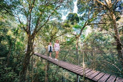 Aquaduck & Your Choice Of Gold Coast Rainforest Tour - Restaurant Canberra 4