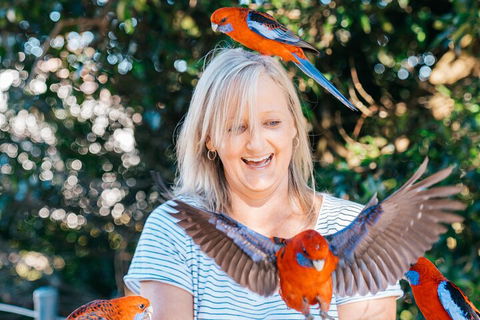 Aquaduck & Your Choice Of Gold Coast Rainforest Tour - Restaurant Canberra 5