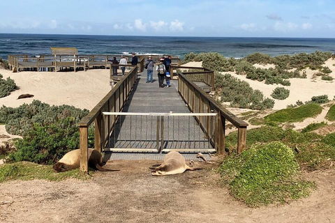 Kangaroo Island 4WD Tour - Best Of KI - Restaurant Canberra 2
