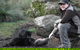 After Dark Tasmanian Devil Feeding Tour At Cradle Mountain - thumb 2